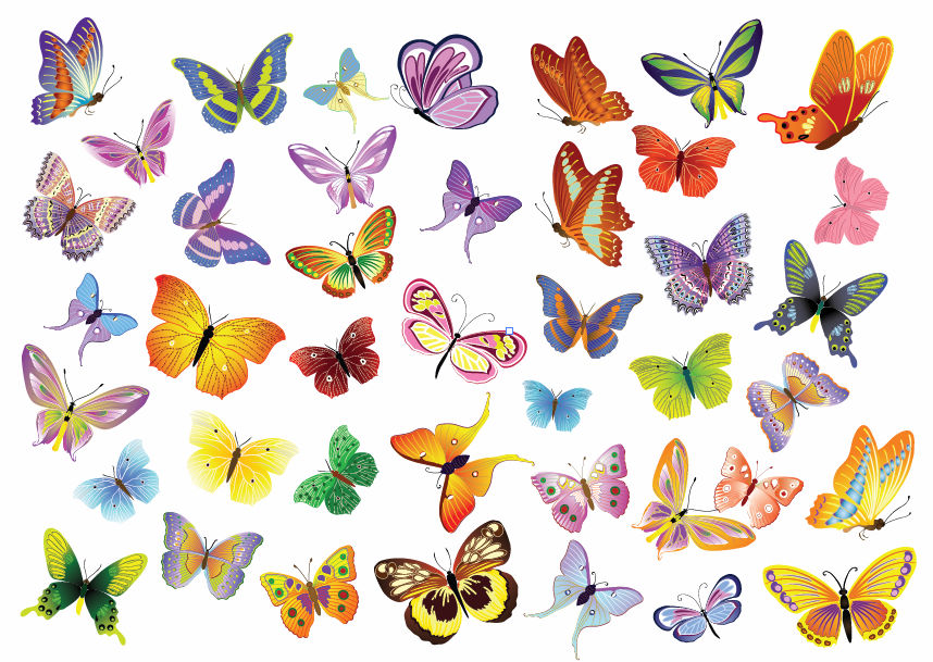free vector Free Vector Set of Butterflies Decoration